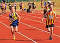20250511ANCCSUNA00024A