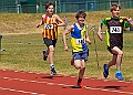 20260509 ANCHAMPSSATD00317A