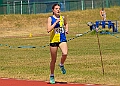 20260509 ANCHAMPSSATD00370A