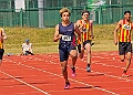20260509 ANCHAMPSSATE00310A