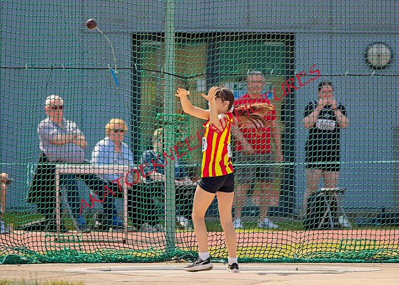 20260509 ANCHAMPSSATA00357A.JPG