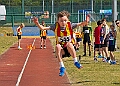 20260509 ANCHAMPSSATC00044A