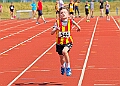 20260509 ANCHAMPSSATC00182A