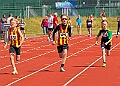 20260509 ANCHAMPSSATC00187A