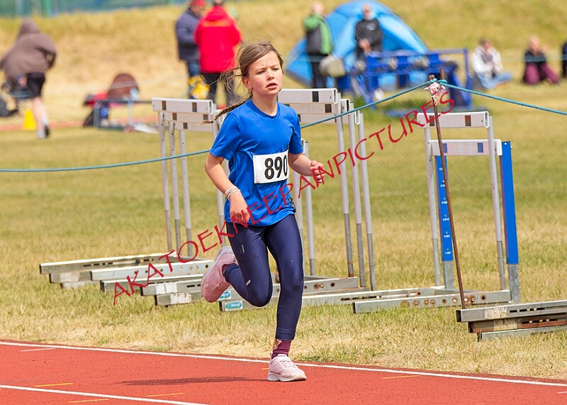 20260510 ANCHAMPSSUNB00006A.JPG