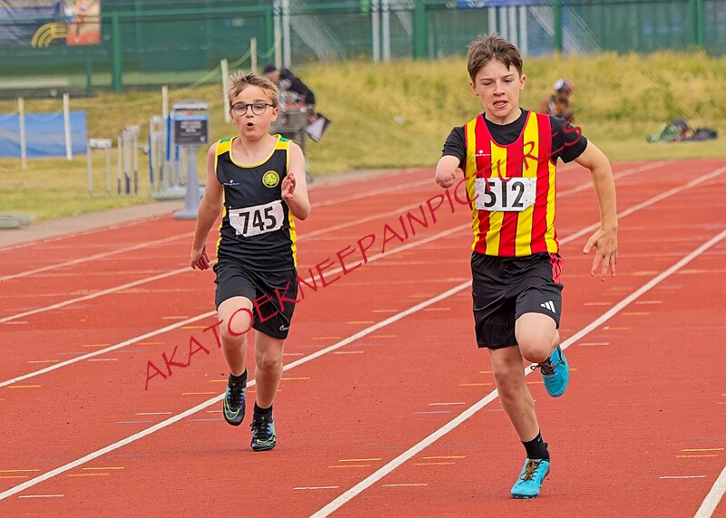 20260510 ANCHAMPSSUNB00025A.JPG