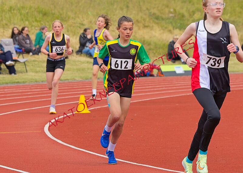 20260510 ANCHAMPSSUNB00391A.JPG