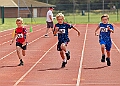 20260628 FUNETICSJUKL00058A