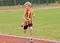 20260628 FUNETICSJUKL00484A