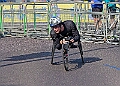 20260426 LONMAR26A00002A