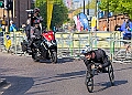 20260426 LONMAR26A00005A