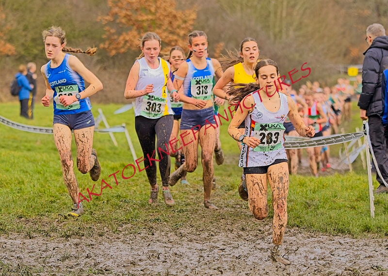 20260207 LONC XC00950A.JPG