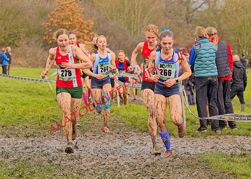 20260207 LONC XC00955A.JPG