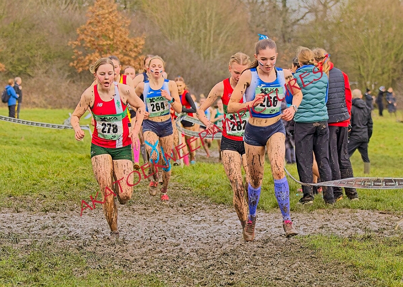 20260207 LONC XC00956A.JPG