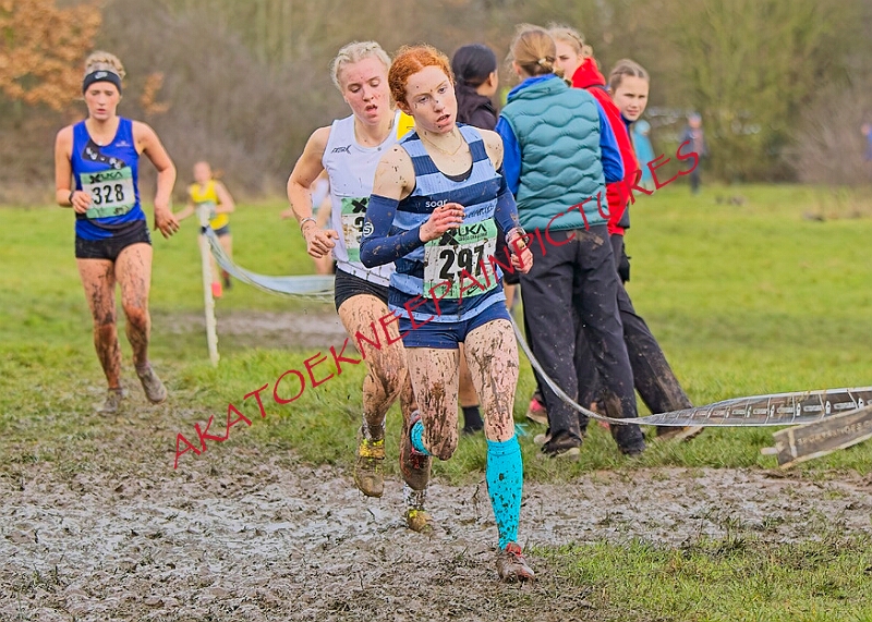 20260207 LONC XC00972A.JPG