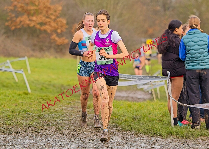 20260207 LONC XC00984A.JPG