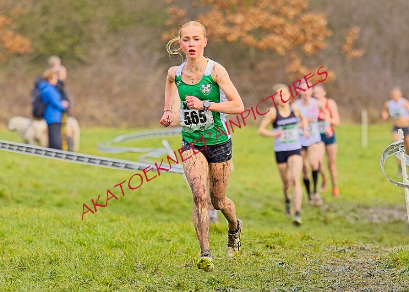 20260207 LONC XC01005A.JPG