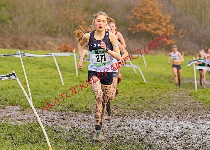 20260207 LONC XC01009A.JPG