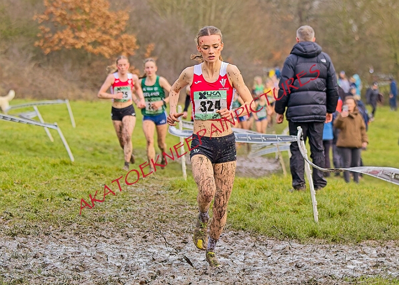 20260207 LONC XC01019A.JPG