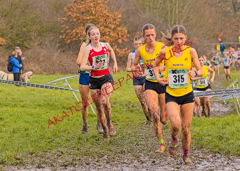 20260207 LONC XC01024A.JPG