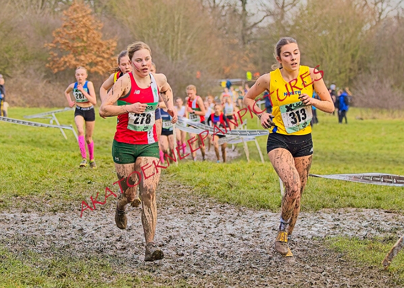 20260207 LONC XC01043A.JPG