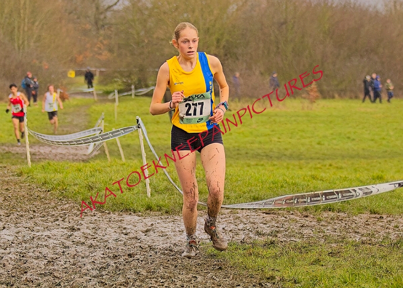 20260207 LONC XC01096A.JPG