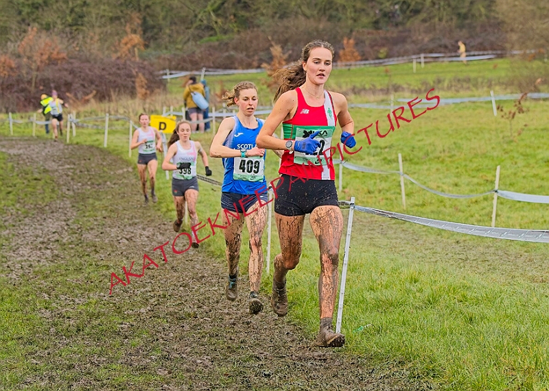 20260207 LONC XC01292A.JPG