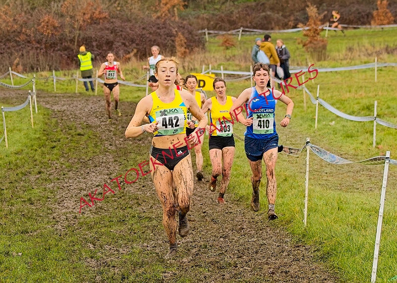 20260207 LONC XC01319A.JPG