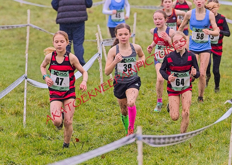 20260207 LONC XC00105A.JPG