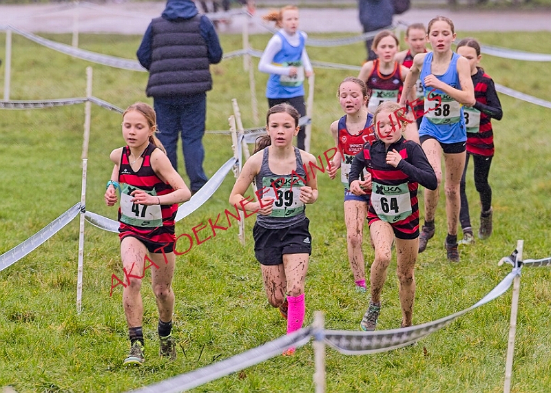 20260207 LONC XC00106A.JPG