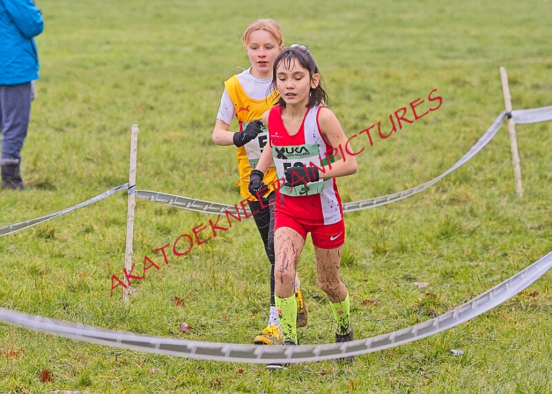 20260207 LONC XC00121A.JPG