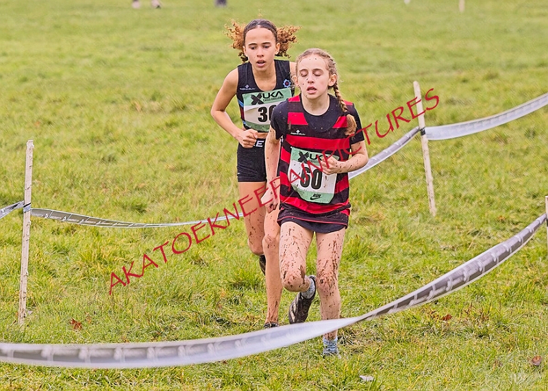 20260207 LONC XC00122A.JPG