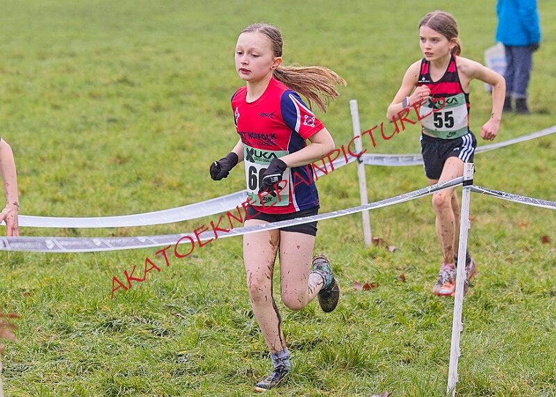 20260207 LONC XC00128A.JPG