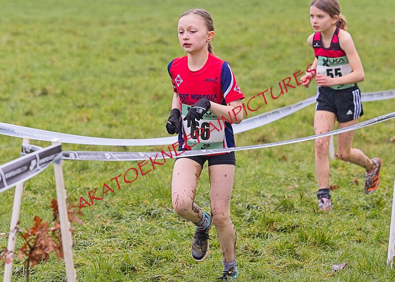 20260207 LONC XC00131A.JPG