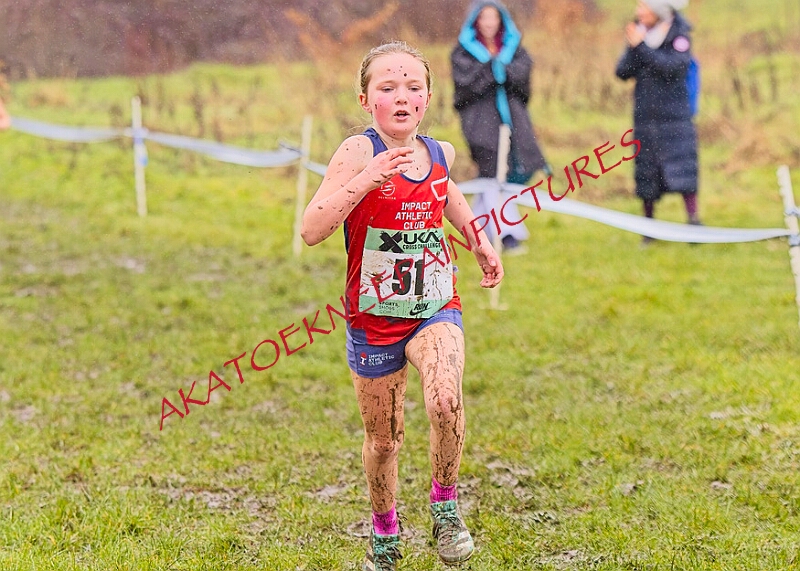 20260207 LONC XC00173A.JPG