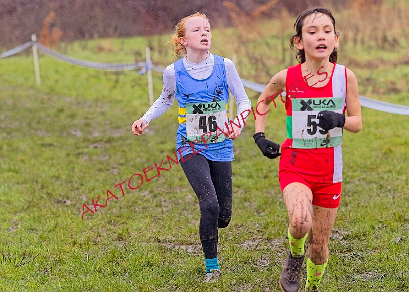 20260207 LONC XC00188A.JPG