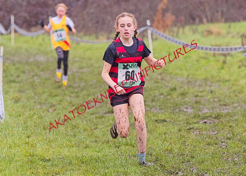 20260207 LONC XC00189A.JPG