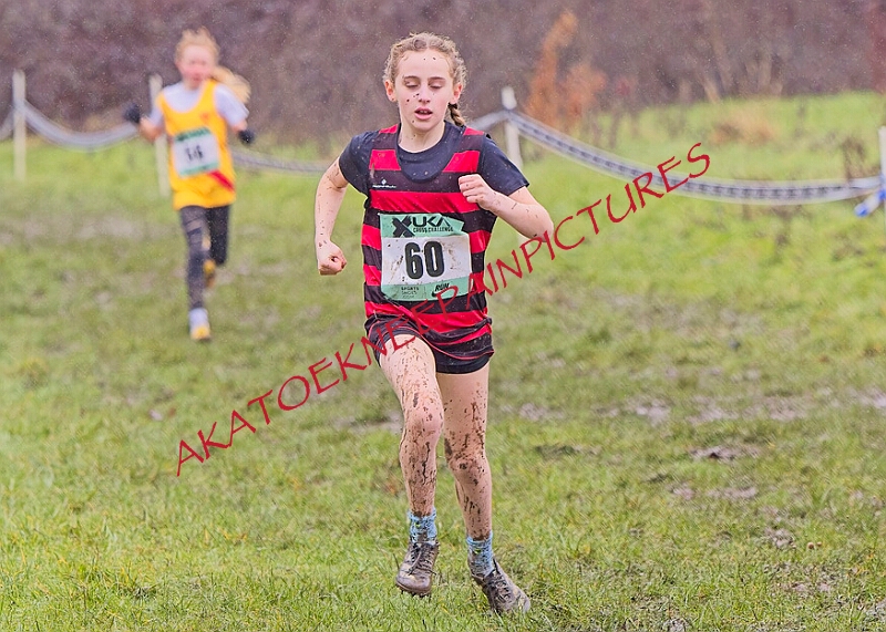 20260207 LONC XC00190A.JPG