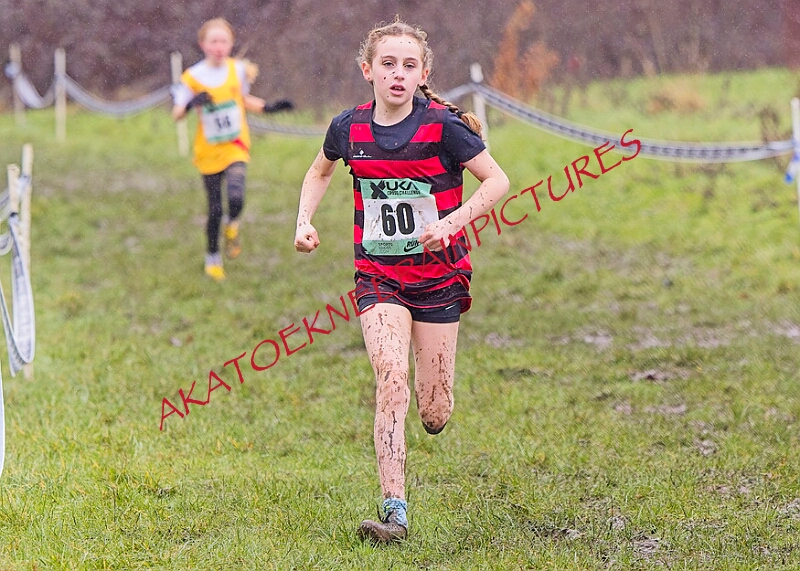 20260207 LONC XC00191A.JPG