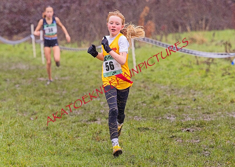 20260207 LONC XC00193A.JPG