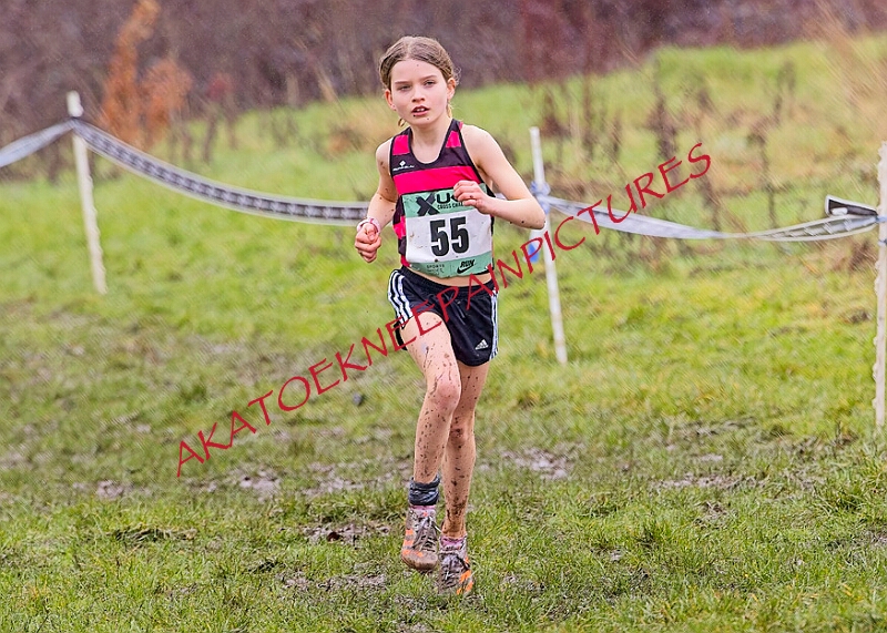 20260207 LONC XC00201A.JPG