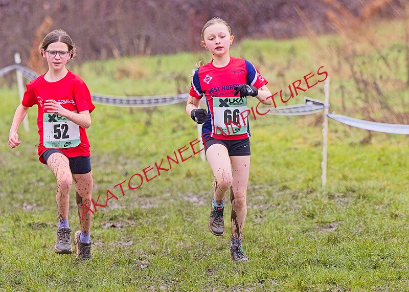 20260207 LONC XC00203A.JPG