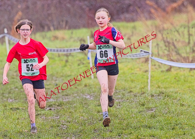 20260207 LONC XC00204A.JPG