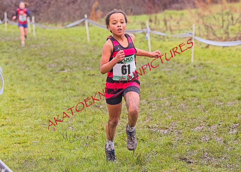 20260207 LONC XC00209A.JPG