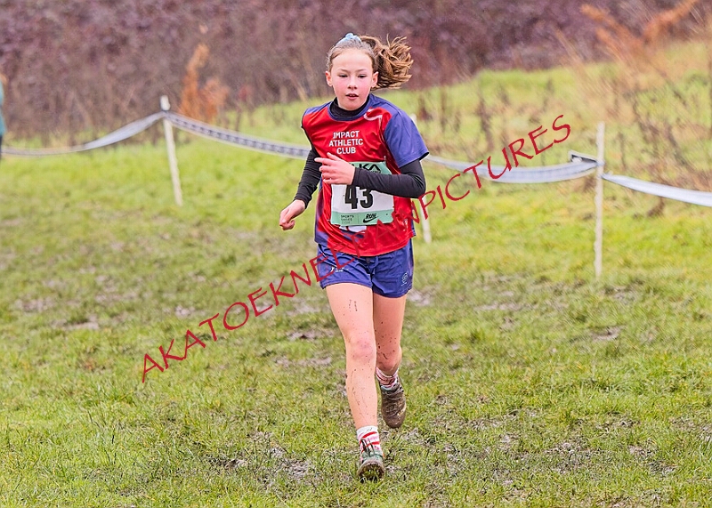 20260207 LONC XC00211A.JPG