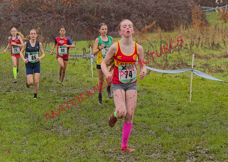 20260207 LONC XC00268A.JPG