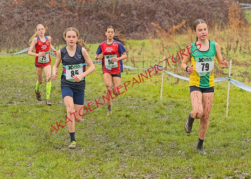 20260207 LONC XC00270A.JPG