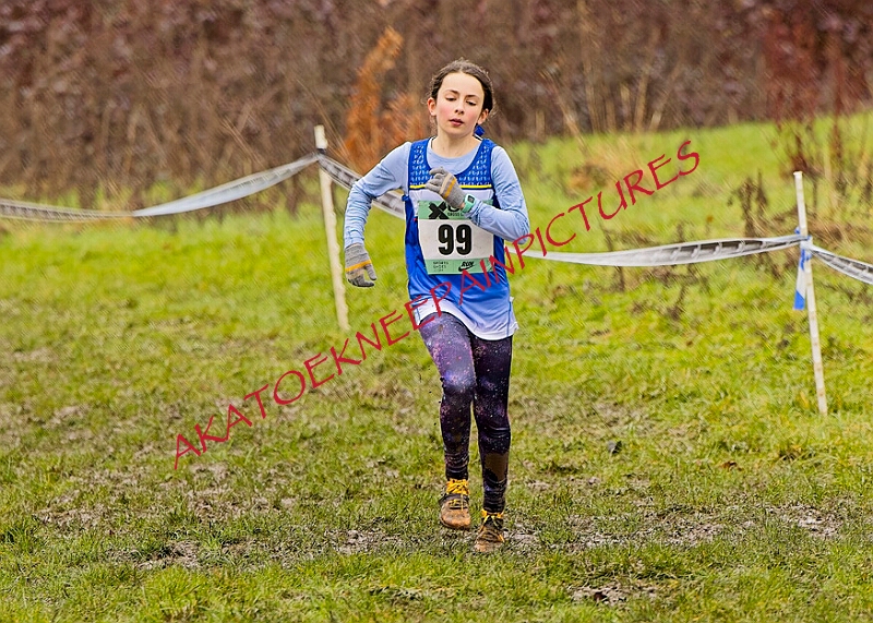 20260207 LONC XC00285A.JPG