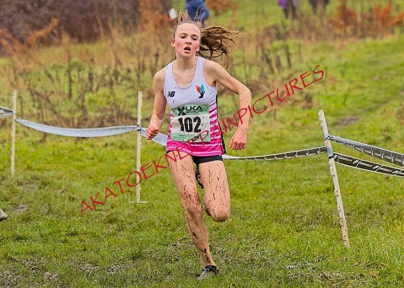 20260207 LONC XC00301A.JPG