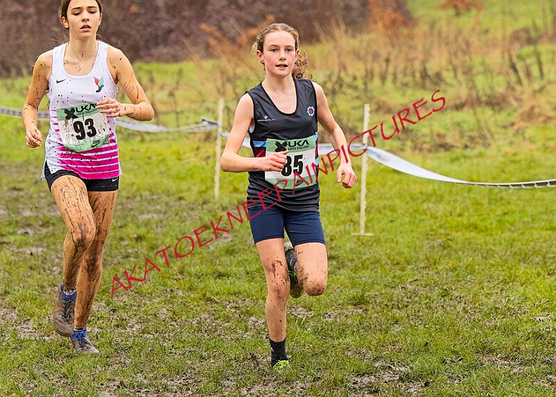 20260207 LONC XC00335A.JPG